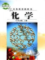 仁爱版科普版九年级化学上册