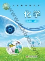 仁爱版科普版九年级化学上册