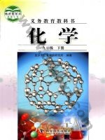 仁爱版科普版九年级化学下册