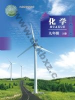 北京版九年级化学上册
