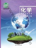 北京版九年级化学下册