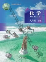 北京版九年级化学下册