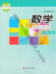 华师大版七年级数学下册