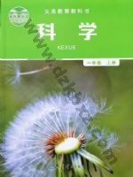 教科版一年级科学上册