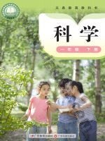 粤教版粤教粤科版一年级科学下册
