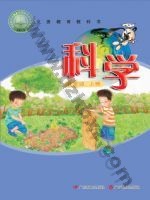 粤教版粤教粤科版五年级科学上册 粤教版电子课本封面