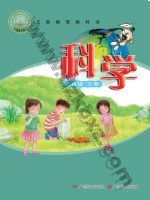粤教版粤教粤科版六年级科学下册 粤教版电子课本封面