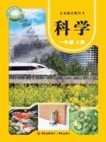 青岛版一年级科学上册
