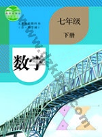 人教版七年级数学下册