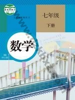 人教版七年级数学下册