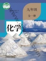 人教版九年级化学全一册