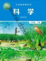 教科版六年级科学下册 教科版电子课本封面