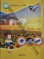 青岛版三年级科学上册