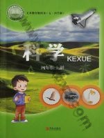 青岛版四年级科学上册