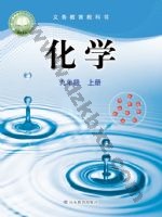 鲁教版九年级化学上册