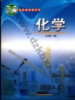 鲁教版九年级化学下册