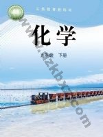 鲁教版九年级化学下册