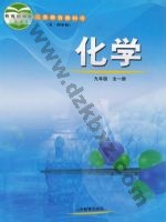 鲁教版九年级化学全册