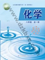 鲁教版八年级化学全一册