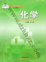 鲁教版八年级化学全册